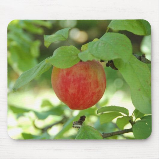 Apple赤いAnnanas mousepad. マウスパッド (正面)