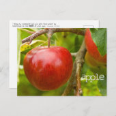 "apple"聖なる書物、 経典はがき(箴言7:2) ポストカード (正面/裏面)
