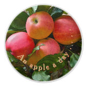 "APPLE A DAY"./リンゴの房セラミックノブ セラミックノブ (正面)