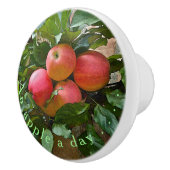"APPLE A DAY"./リンゴの集まり セラミックノブ (右)