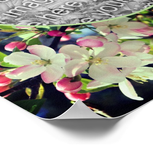 Apple Blomsフレーム独自の写真を作成 ポスター (角)