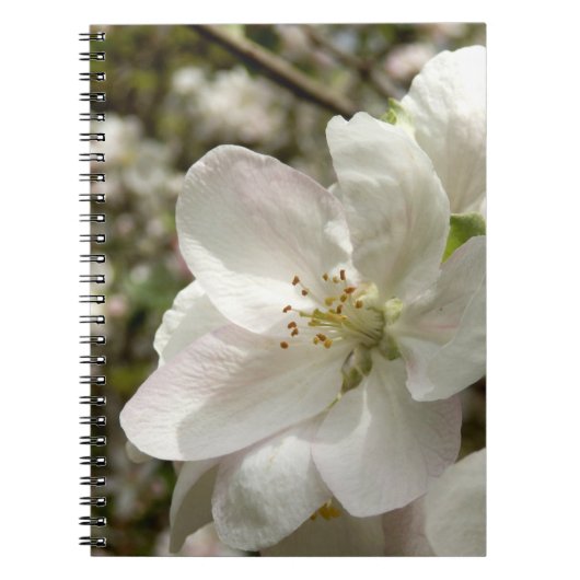 Apple Blossomフォトノートブック ノートブック (正面)