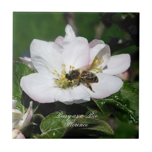 Apple Blossom & Bee Macro Photo | Ceramic Tile タイル (正面)