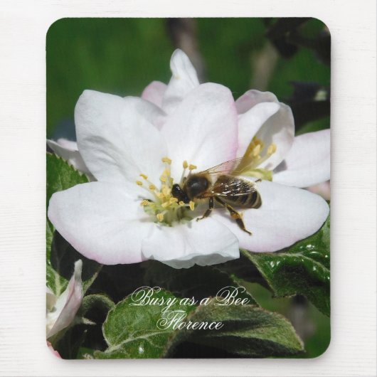 Apple Blossom & Bee Macro Photo | Mousepad マウスパッド (正面)