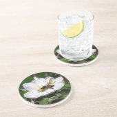 Apple Blossom & Bee Macro Photo | Sandstone Coaste コースター (側面)