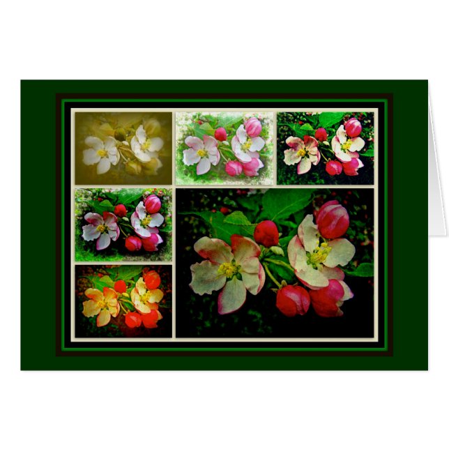 Apple Blossom Collage – 拡張デジタル写真 (正面横)