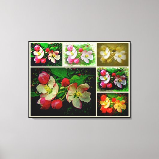 Apple Blossom Collage – 拡張デジタル写真 キャンバスプリント (正面)