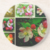 Apple Blossom Collage – 拡張デジタル写真 コースター (正面)
