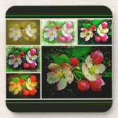 Apple Blossom Collage – 拡張デジタル写真 コースター (正面)