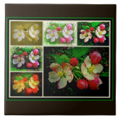 Apple Blossom Collage – 拡張デジタル写真 タイル (正面)