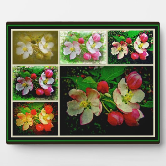 Apple Blossom Collage – 拡張デジタル写真 フォトプラーク (正面)