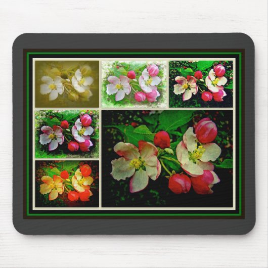 Apple Blossom Collage – 拡張デジタル写真 マウスパッド (正面)