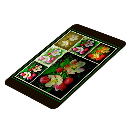 Apple Blossom Collage – 拡張デジタル写真 マグネット (左側)