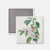 Apple Blossom、「Les Choix des Plus Belles」より マグネット (正面/裏面)