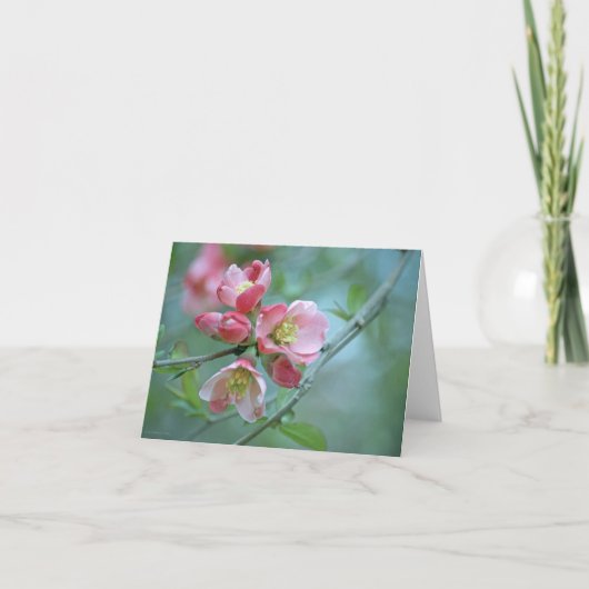 Apple Blossom #P0356カード カード (正面)
