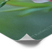 Apple Blossom #P0356ポスター ポスター (角)