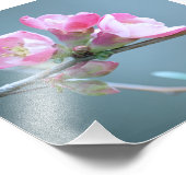 Apple Blossom #P0358写真 フォトプリント (角)