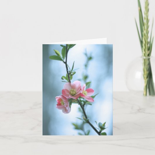 Apple Blossom #P0365カード カード (正面)