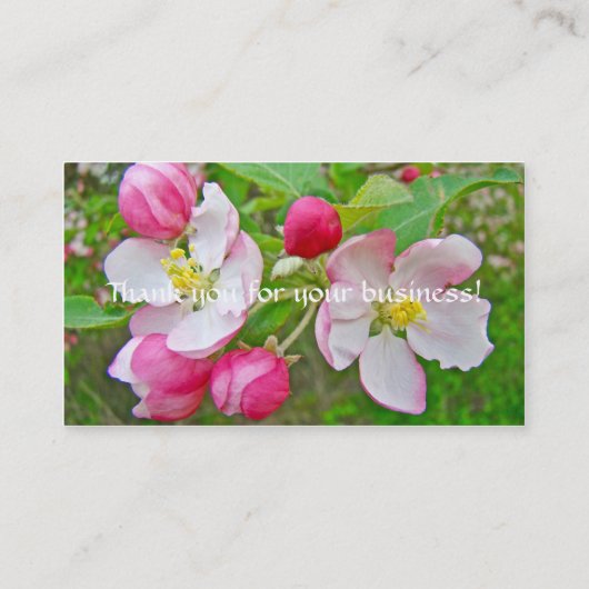 Apple Blossom Time名刺 名刺 (裏面)