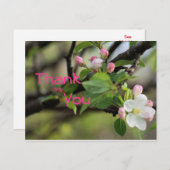 Apple Brothsはがき – カスタマイズ任意の大事な行事 ポストカード (正面/裏面)