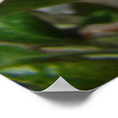 APPLE FLOWERS花花アートプリント枠アート ポスター (角)