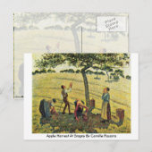 Apple Harvest At Eragny By Camille Pissarro ポストカード (正面/裏面)