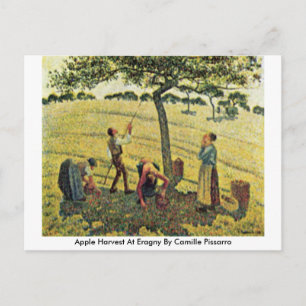 Apple Harvest At Eragny By Camille Pissarro ポストカード