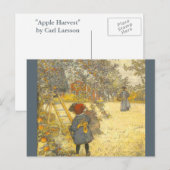 Apple Harvest by Carl Larsson ポストカード (正面/裏面)