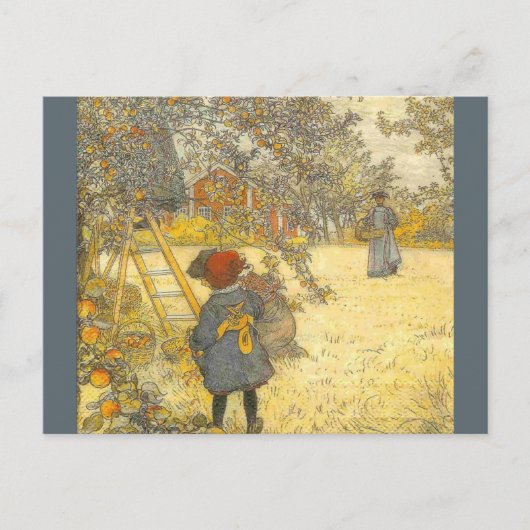Apple Harvest by Carl Larsson ポストカード (正面)