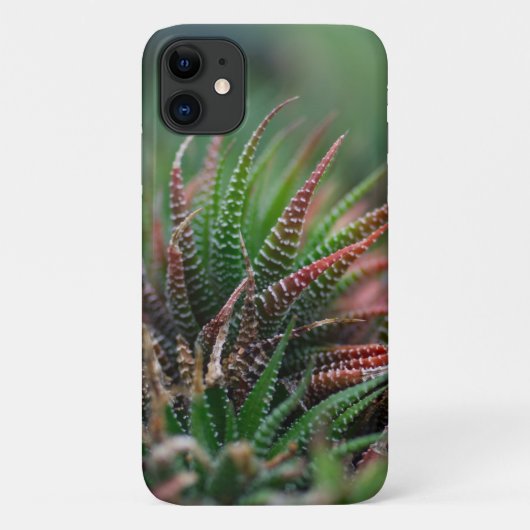 Apple iPhone 11のケースでケースのメイト Case-Mate iPhoneケース (裏面)