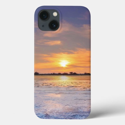 Apple iPhone 13ケースのケースメイト Case-Mate iPhoneケース (裏面)