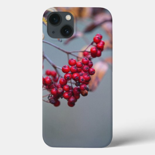 Apple iPhone 13ケースのケースメイト Case-Mate iPhoneケース (裏面)