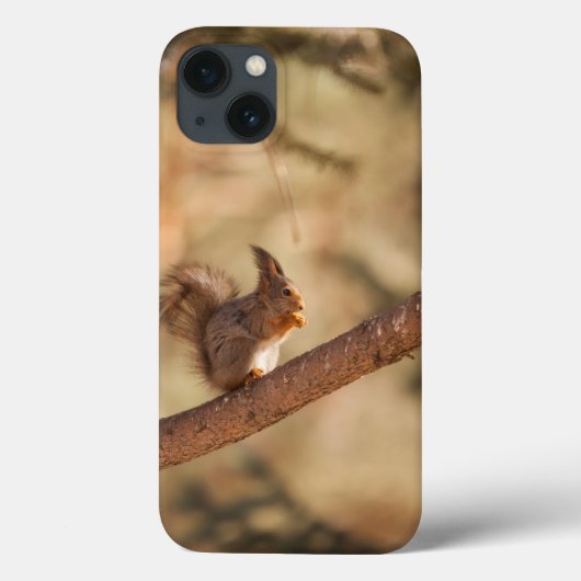 Apple iPhone 13ケースのケースメイト Case-Mate iPhoneケース (裏面)