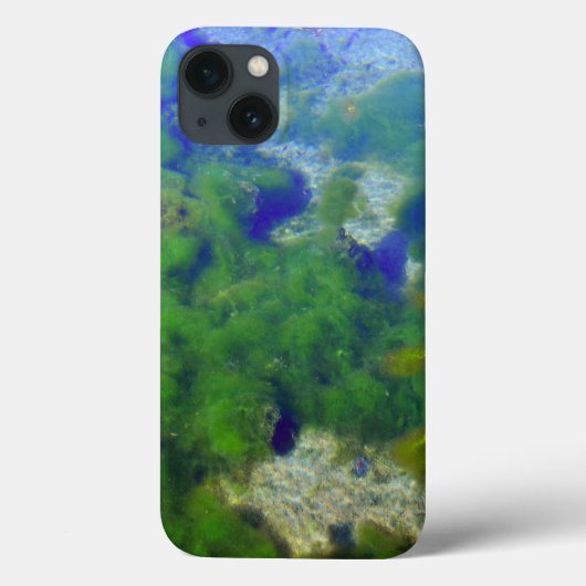 Apple iPhone 13ケースのケースメイト Case-Mate iPhoneケース (裏面)