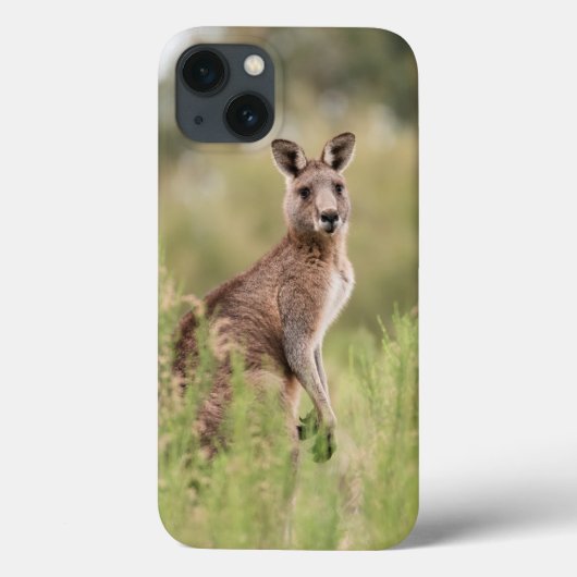 Apple iPhone 13ケースのケースメイト Case-Mate iPhoneケース (裏面)