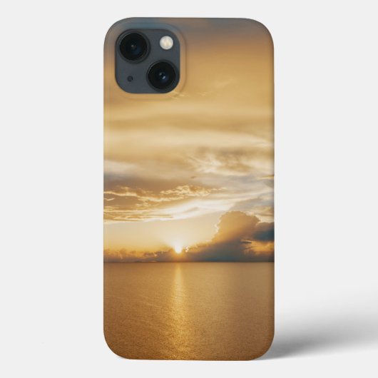 Apple iPhone 13ケースのケースメイト Case-Mate iPhoneケース (裏面)