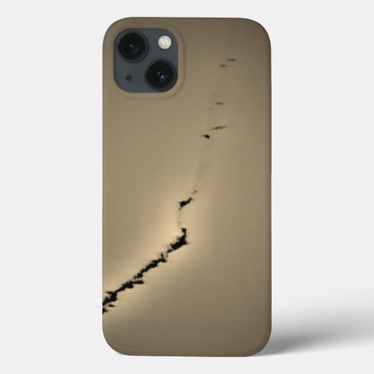 Apple iPhone 13 カバー アート＆デザイン スタイル (裏面)
