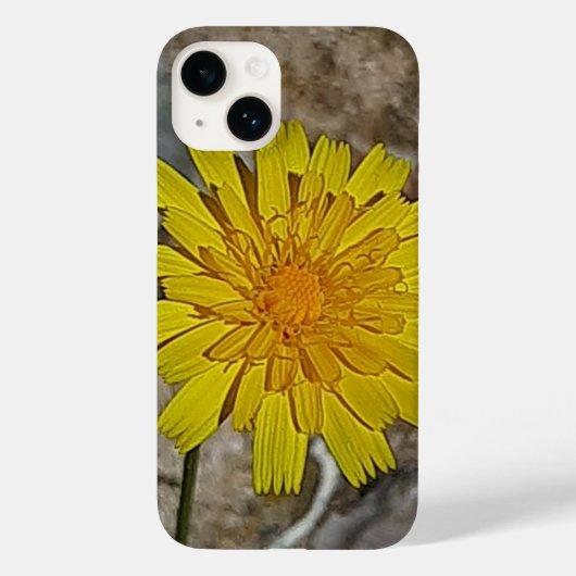 Apple iPhone 14 カバー (裏面)