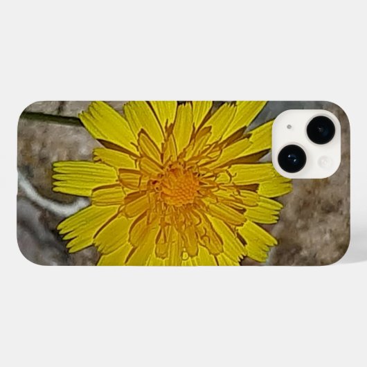 Apple iPhone 14 カバー (裏面 (横))