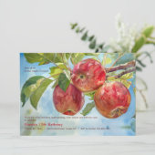 Apple Orchard 招待状 (スタンド正面)