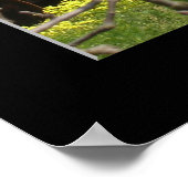 「Apple Orchard - Watsonville」 ポスター (角)