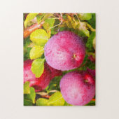 Apple Orchards Vermont. ジグソーパズル (縦)