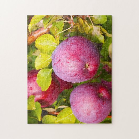 Apple Orchards Vermont. ジグソーパズル (縦)