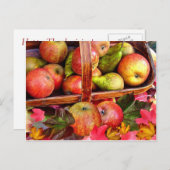 APPLE & PEARS ~はがき シーズンポストカード (正面/裏面)