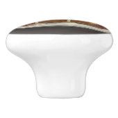 Apple Pie and Vanilla Ice Cream at Diner セラミックノブ (側面)