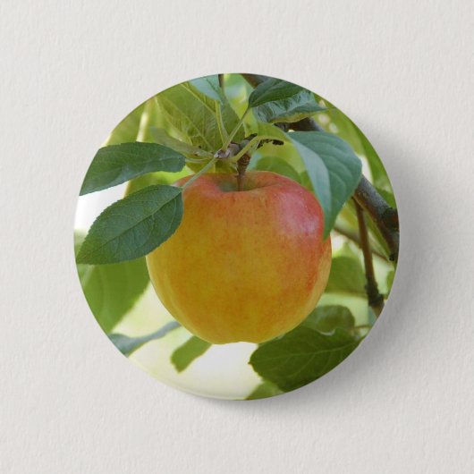 Apple Prima 缶バッジ (正面)