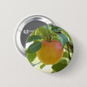 Apple Prima 缶バッジ (正面&裏面)