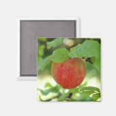 Apple Red Annanas – マグネット (正面/裏面)