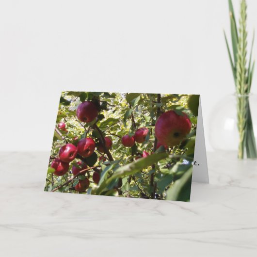 Apple Treeお祝いカード カード (正面)