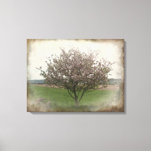 Apple Treeの開花 キャンバスプリント (正面)